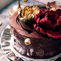 Custom Chocolate Cake with Frozen Yogurt Frosting